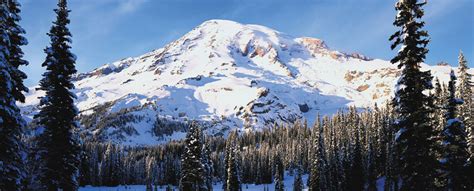 mt rainier webcams|Mt. Rainier Webcams & Weather 